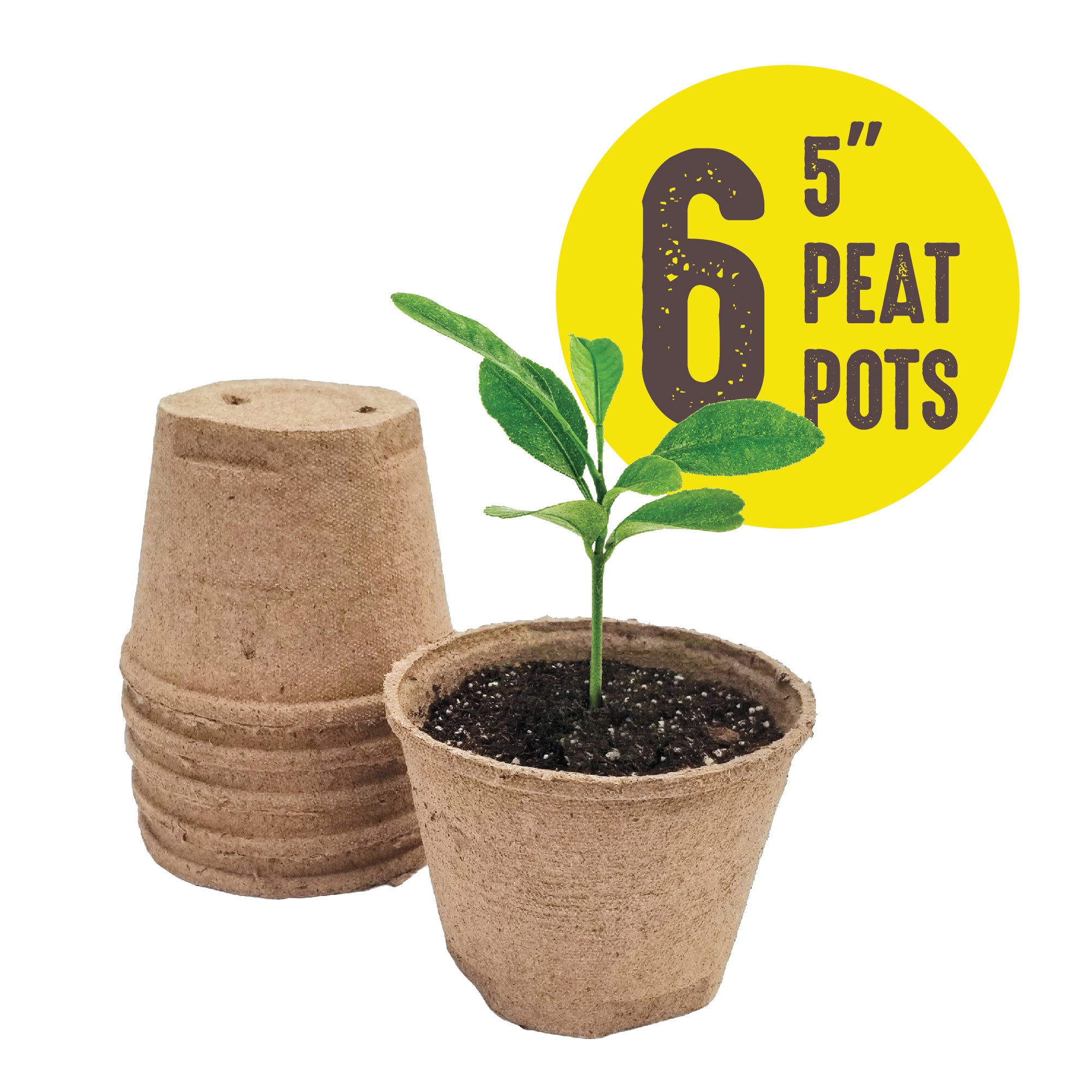 A stack of brown 5 inch Jiffy biodegradable peat pots